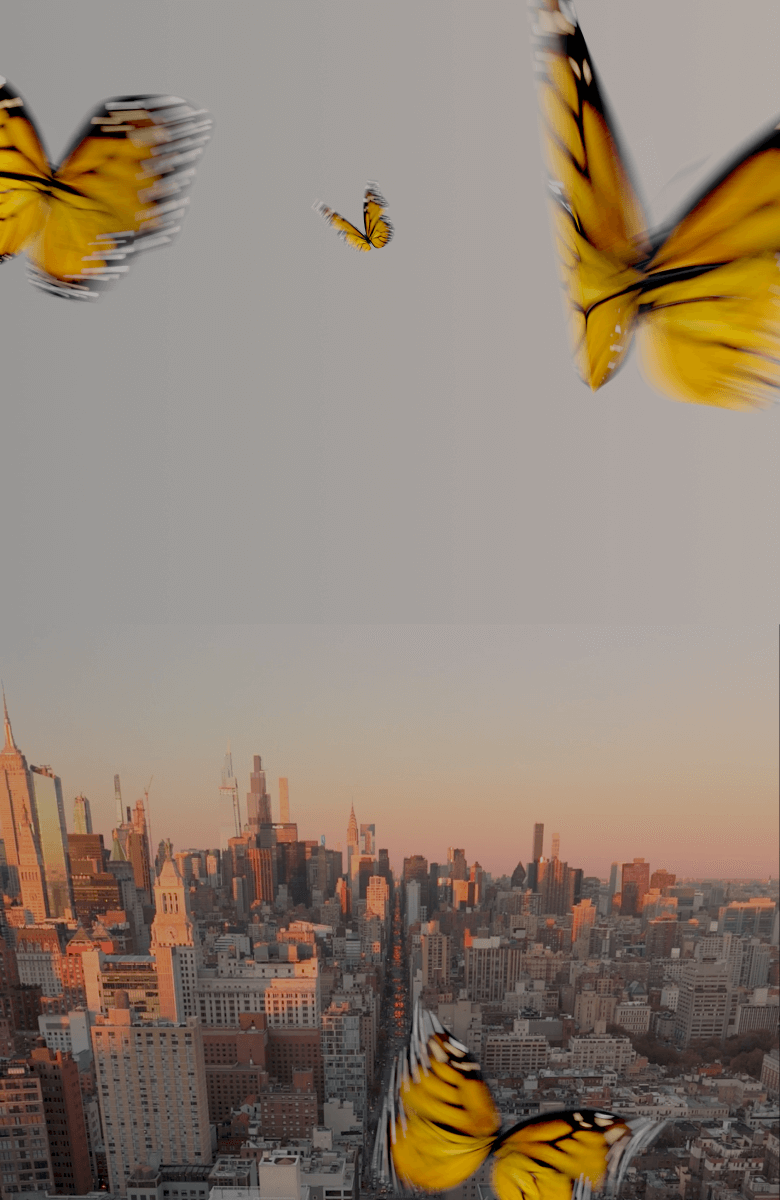 Get ready to take flight soon