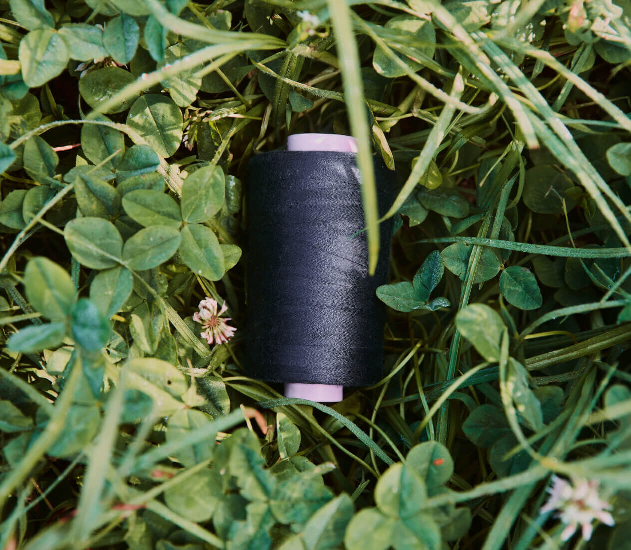 A spool of black thread lies nestled among green plants.