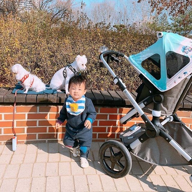 capote bugaboo bee 5