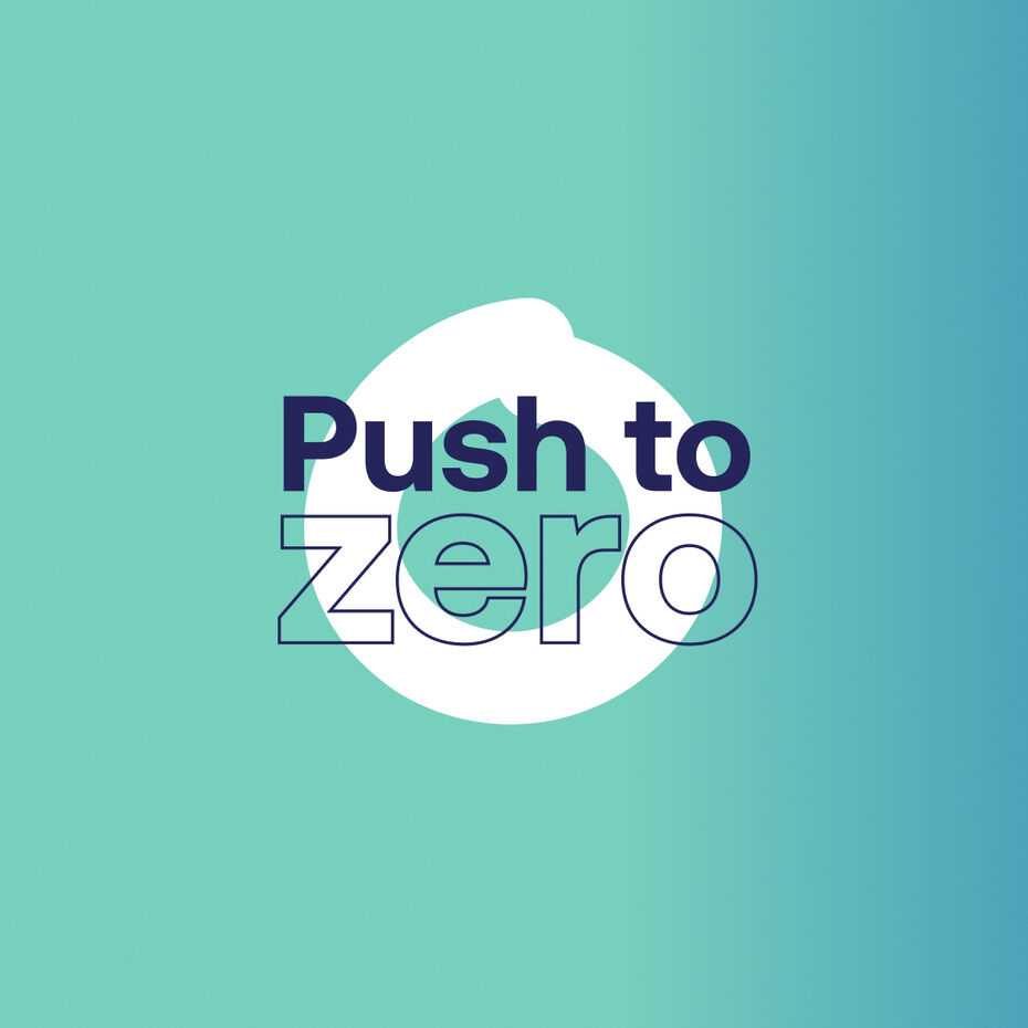 ESG push to zero 2021