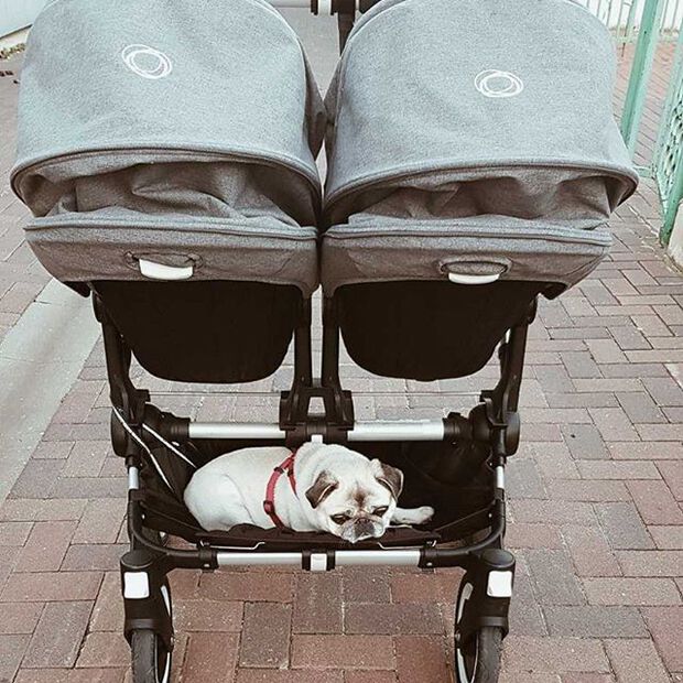 Bugaboo Donkey 2 twin