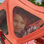 Bugaboo Fox/Cameleon 3 breezy sun canopy