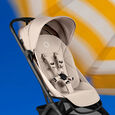Sites-bugaboo-us-Site