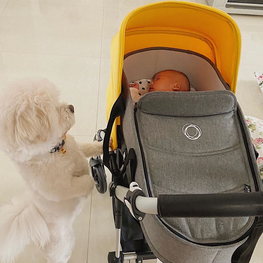 bugaboo bee bassinet base