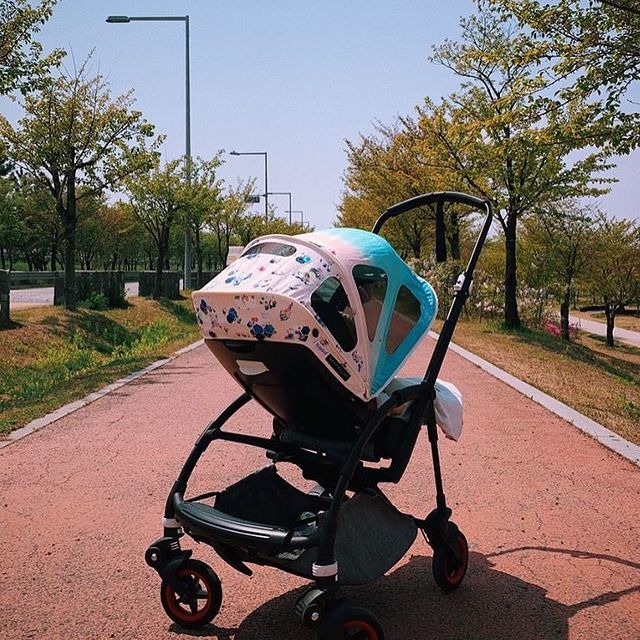 bee breezy sun canopy