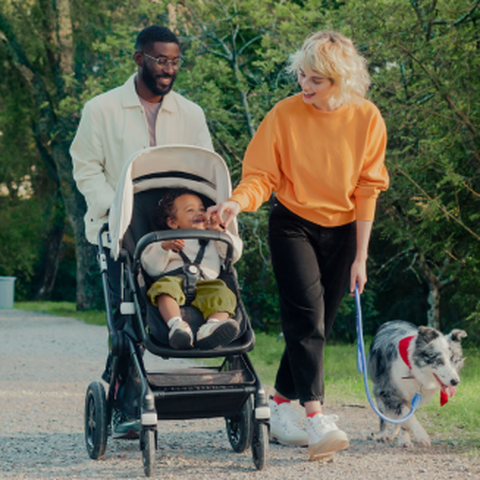 Bugaboo Butterfly Bumper Bar Stroller Accessory Buy Bugaboo