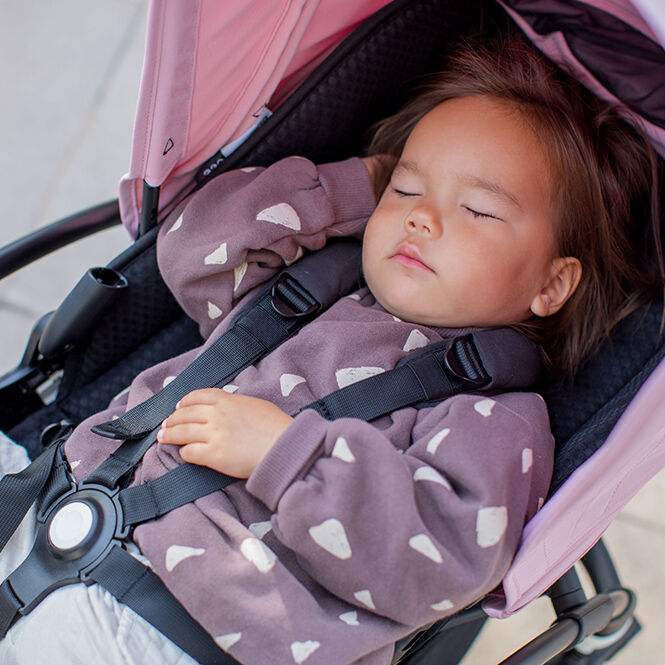 A toddler napping in stroller.