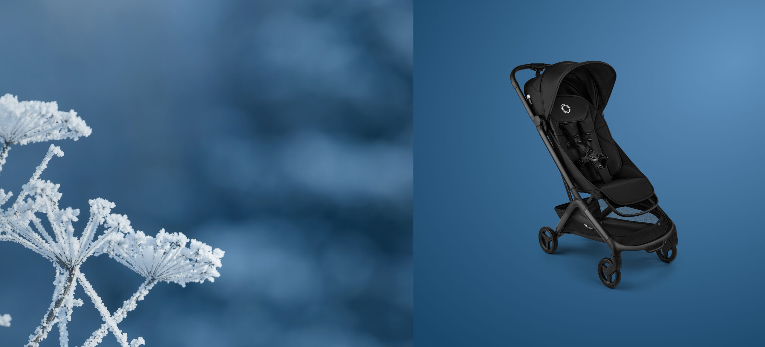 A Bugaboo Butterfly 2 travel stroller displayed against a blue background, with frosted winter plants on the left side of the image.