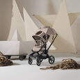 Sites-bugaboo-central-europe-Site