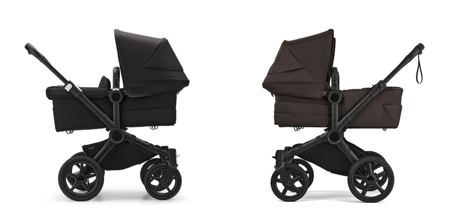 Image of Donkey 5 compared with donkey 6