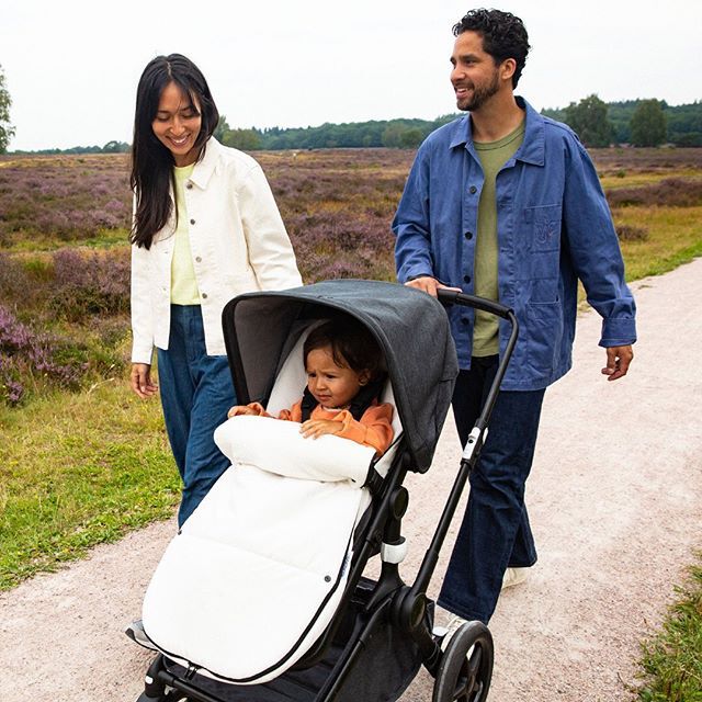 bugaboo fox test 2019
