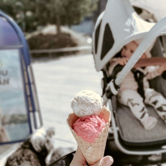 bugaboo breezy sun canopy fox