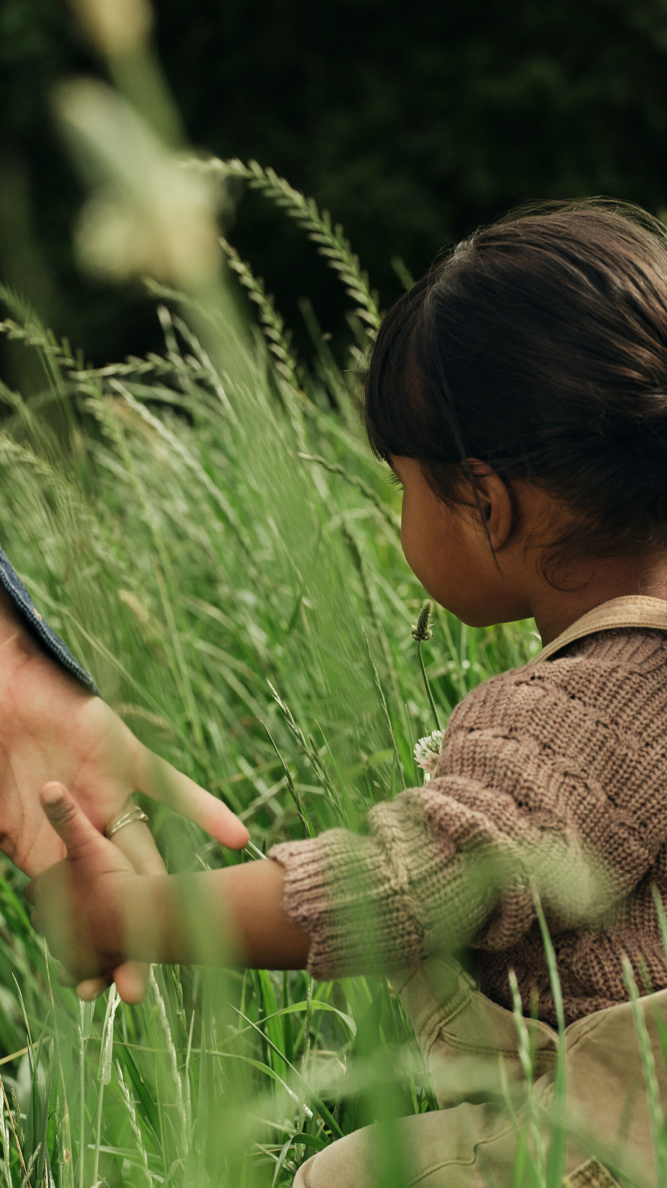 A little girl holds her mom's hand as they walk through tall grasses.