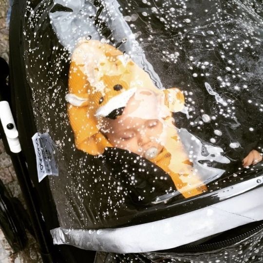 bugaboo buffalo rain cover