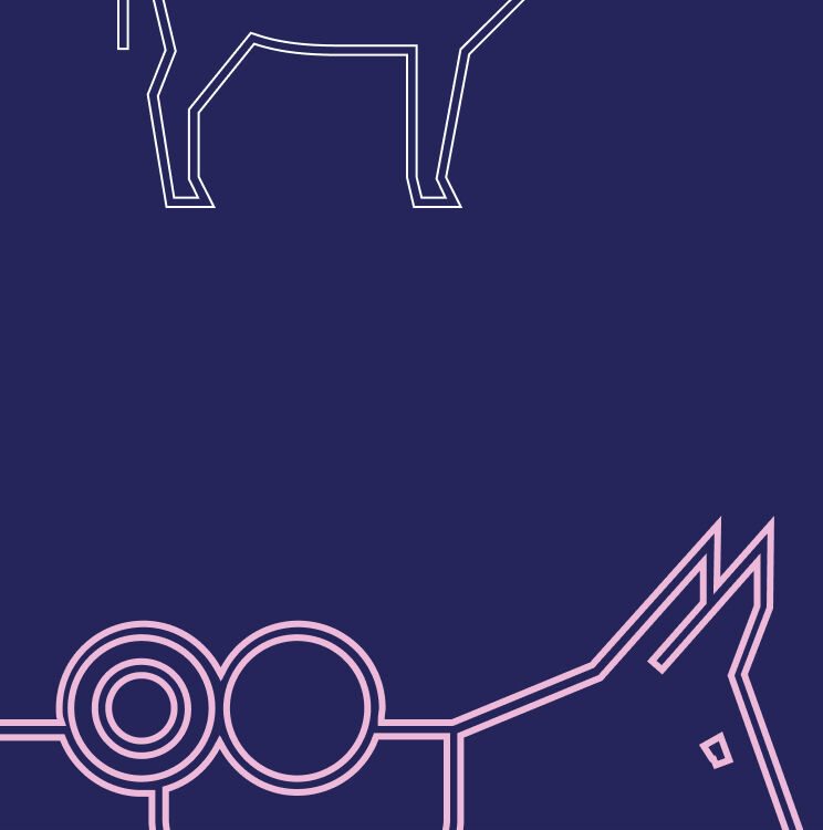 bugaboo donkey duo pris