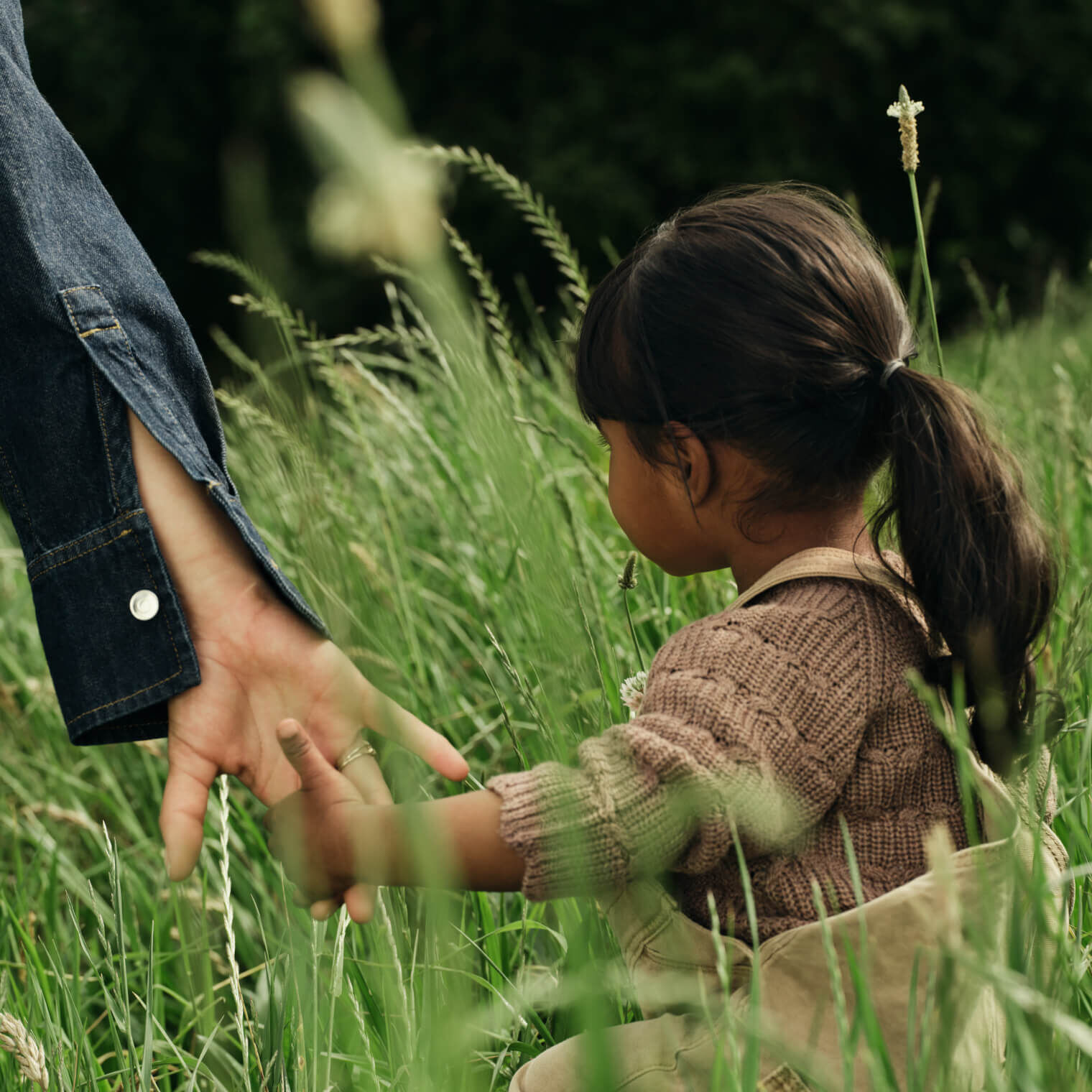 Young girl holding a parent's hand while walking through tall green grass outdoors