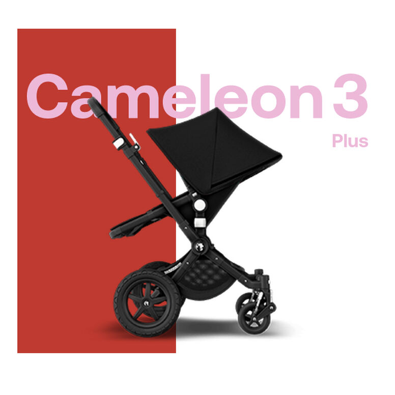 | Bugaboo