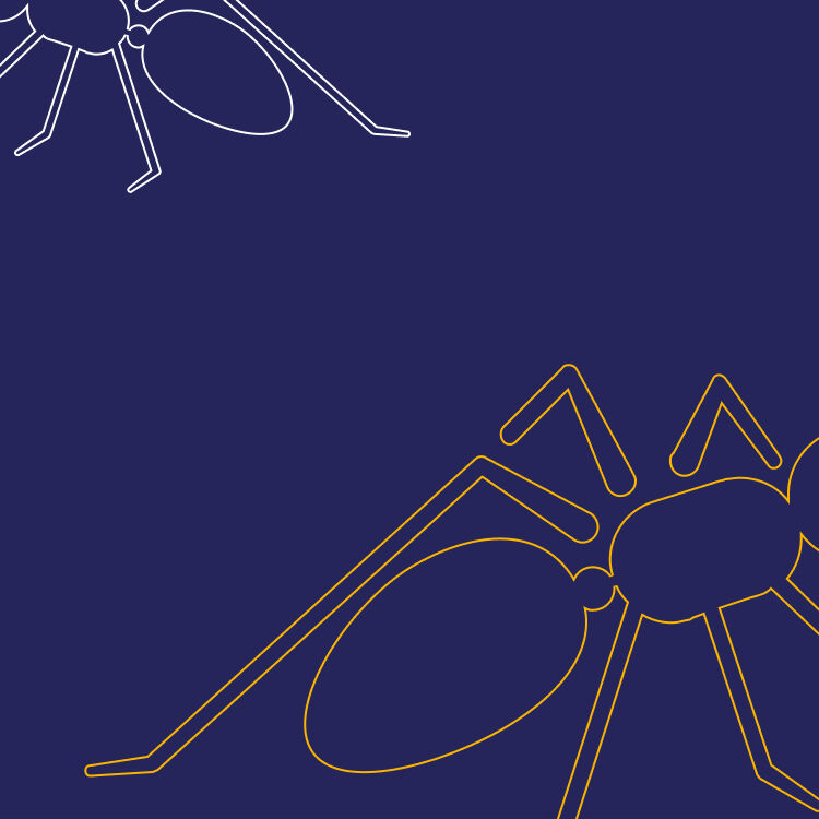 bugaboo ant australia