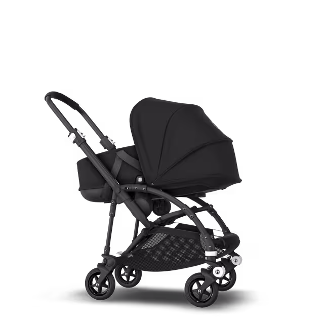 ASIA - B5B Asia stroller bundleZW, ZW, ALB - Main Image Slide 4 of 6