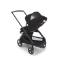 View from behind of the Bugaboo Dragonfly seat stroller, showing the peek-a-boo panel on the sun canopy.