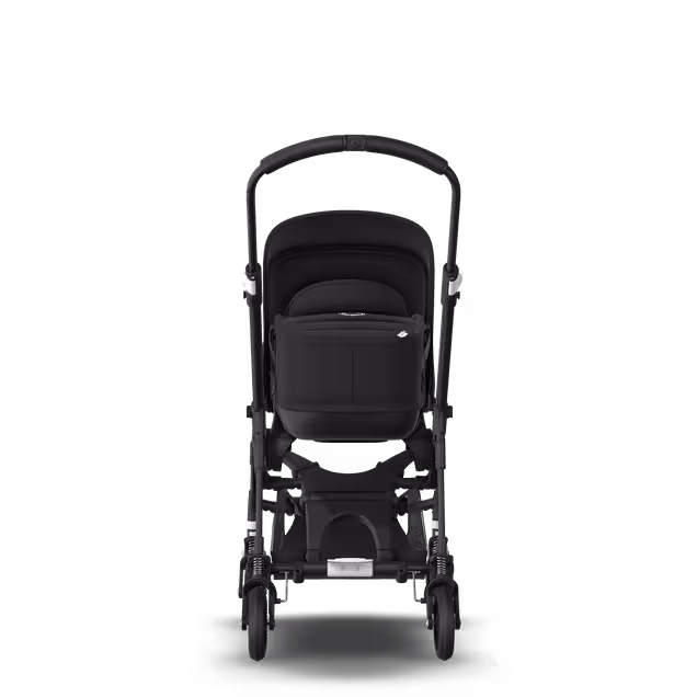 ASIA - B5B Asia stroller bundleZW, ZW, ALB - Main Image Slide 3 of 6