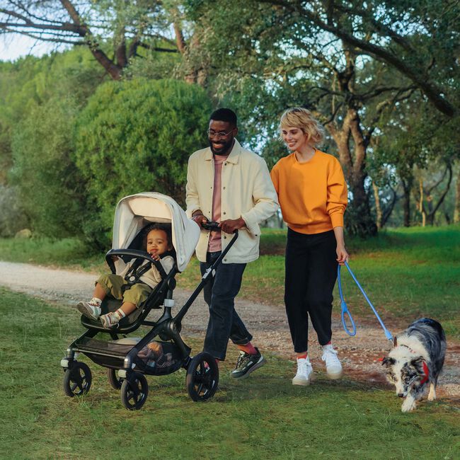 Una famiglia di tre persone e un cane si godono una giornata estiva al parco con il bambino in un passeggino Bugaboo Fox 3.