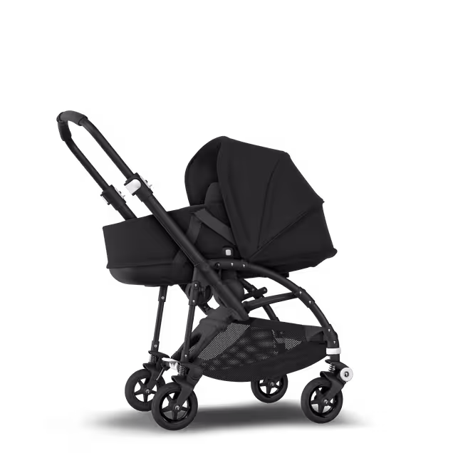 ASIA - B5B Asia stroller bundleZW, ZW, ALB - Main Image Slide 6 of 6