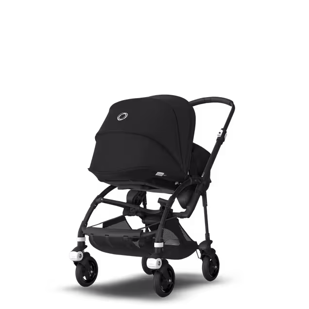 ASIA - B5B Asia stroller bundleZW, ZW, ALB - Main Image Slide 5 of 6