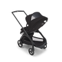 View from behind of the Bugaboo Dragonfly seat stroller, showing the peek-a-boo panel on the sun canopy. - Thumbnail Slide 12 of 18
