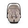 Bugaboo Otter by Nuna infant car seat - Set of 2